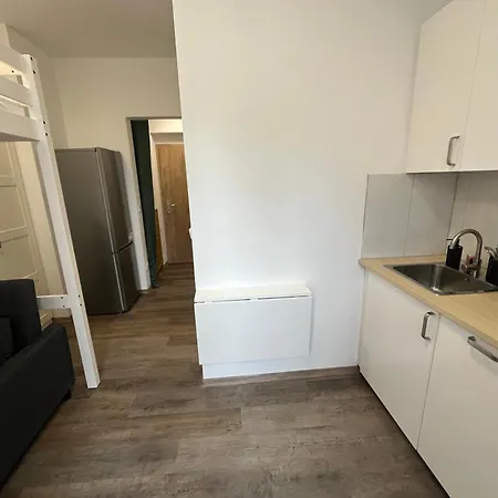 Utulna Garsonka S Vyhledem Do Zahrady Hradec Králové